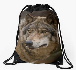 Wolf Draw String Bags from Wolvesonly Red Bubble