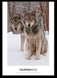 Wolf Calendar from Wolvesonly Red Bubble