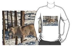 Wolf Clothing from Wolvesonly Red Bubble