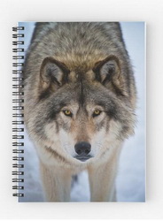 Wolf Spiral Notebook from Wolvesonly Red Bubble